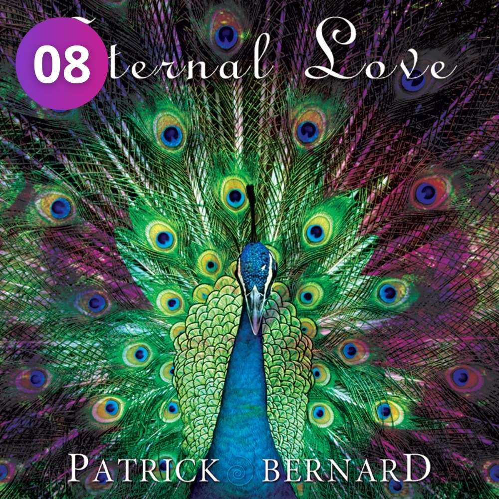 08 Transcendental Icon